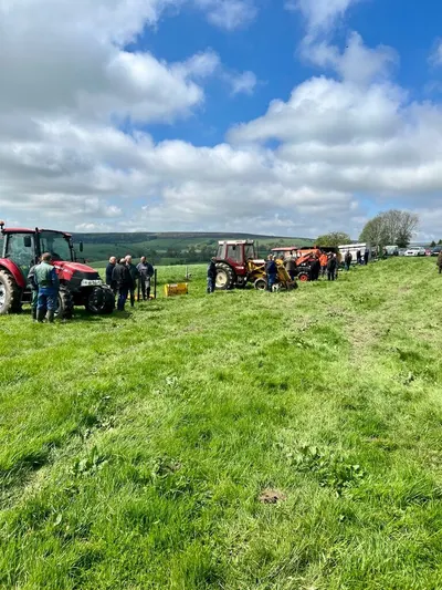 Massey Ferguson 240 Brand New Tractor