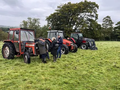 Prime forages