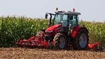 China Luzhong tractor 254