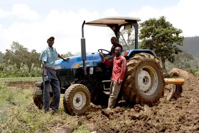 Used Cheap Massey Ferguson Tractor by Rene Sadi