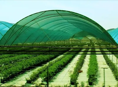 shade netting