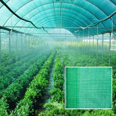 Insect Protection Net