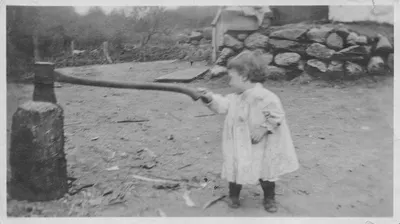 Piper Nigrum
