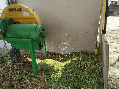 Drum Chippers