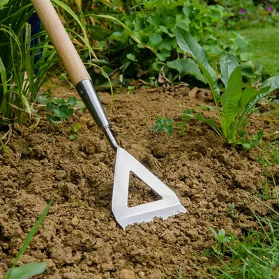 Hoe