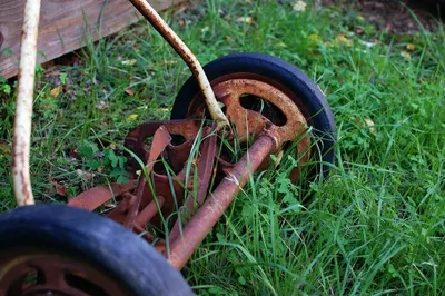 Dirt Scooter