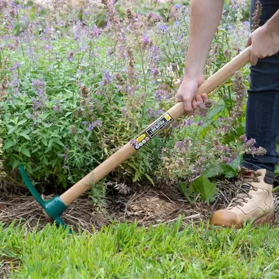 Cordless grass trimmer
