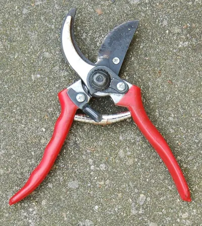 Pliers