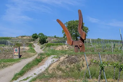 Star picket