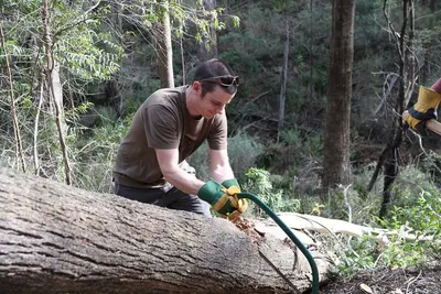 Wood Cutters by Nuova Brilwa