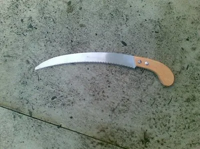 Carving knife