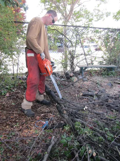Bypass Lopper Tree Branch Cutter