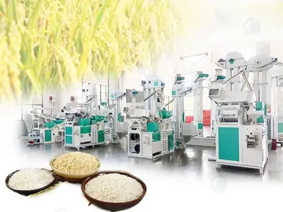 Zb-35/zb-80 paper bowl making machine