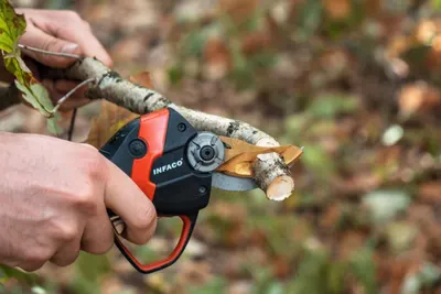 Gardening Scissors - Florist Shears