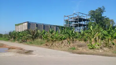 Palm Oil CP by Kim Trading
