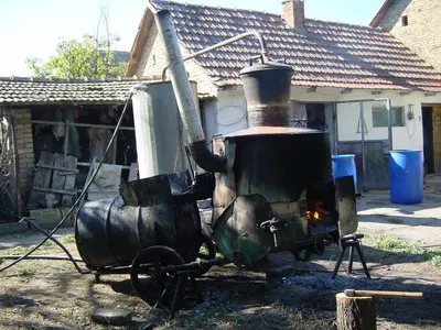 Pouplar Wood Burning Stove