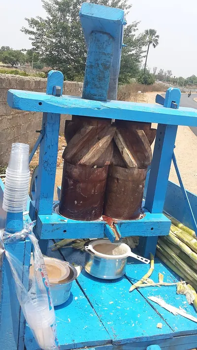 Coconut Extracting Machine