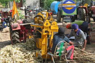 Direct Factory Sale New Wood Pallet Hot Press Machine Comprehensive Wood Product Processing Line Including Wood Crusher Shaving