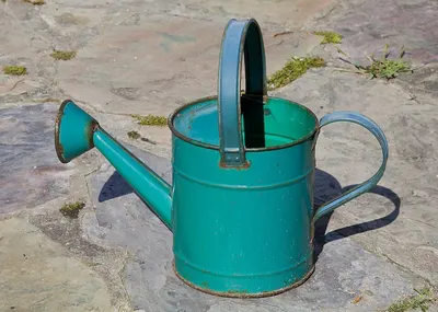 Brass Watering Can With Twin Handle by Duqaa Handicrafts
