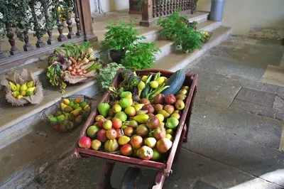 Rickshaw Fruit Basket by Moi Keteki