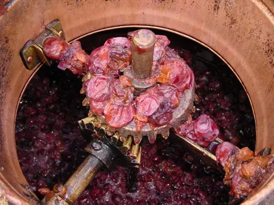 Rose Shower by Aquee Faucet