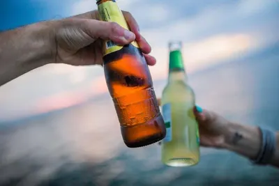 Heineken beer by Saebygard Avlsgard A/S