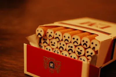 Cane Box by Moi Keteki