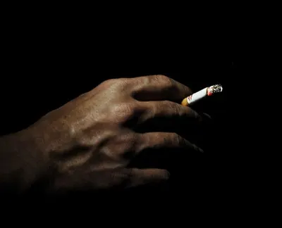 Smoking Rolling Filter Tips by S.V. Exports