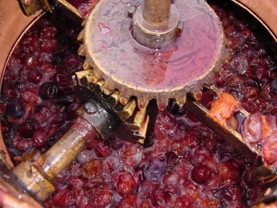 Cranberry Chutney