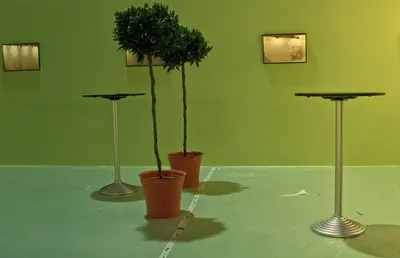 Bonsai