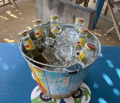 Winter Desert Cooler