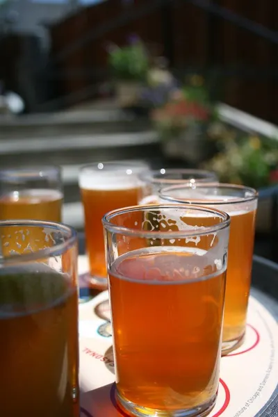 Beer Mug
