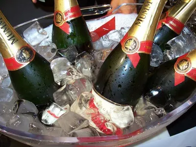 Champagne Glass by GB Identity Industries Pvt. Ltd.