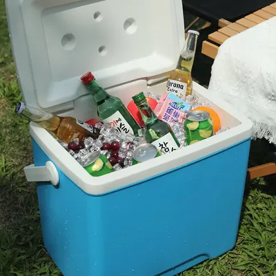 Portable cooler swamp