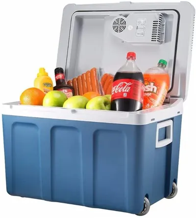 Car cooler