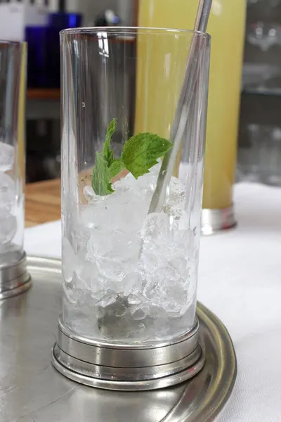 Mint Tonic Water