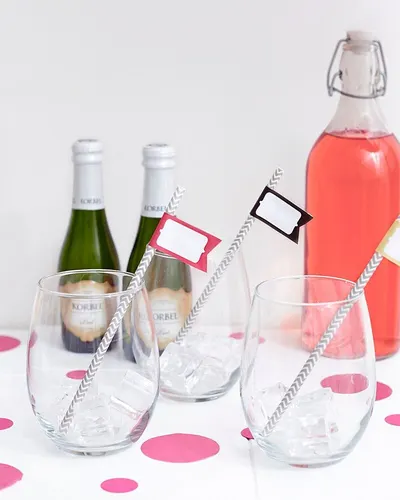 Self-locking Nylon Cable Ties For The Wine
