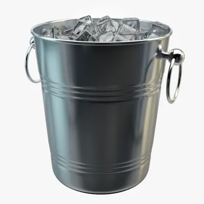 Stainless steel dustbin