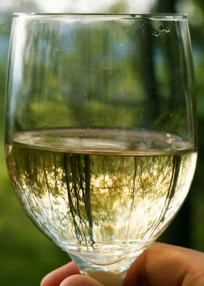 Wooden Wine Glass