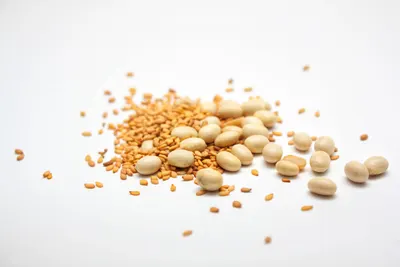 SEEDS: Soybean, Corn And Wheat
