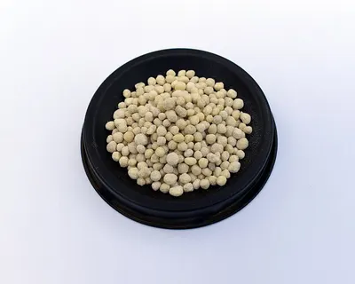 White Pepper