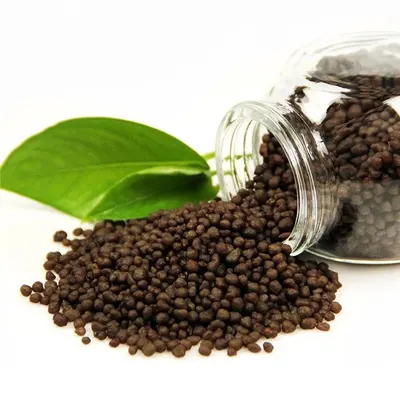 Black pepper
