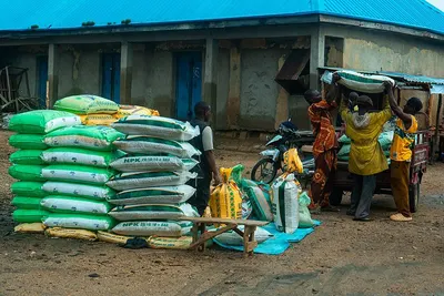Organic Liquid Fertilizer With Amino Acids