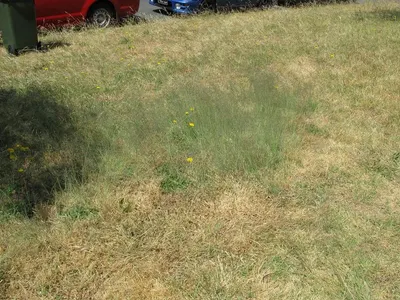 Lot For Sale