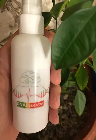 Iridescent Coconut Elixir Hair Oil