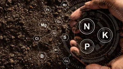 Niphos (NPS) Fertilizer