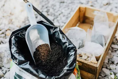 Vermi Ferti Compost