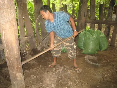 Rafael Angoori Petha