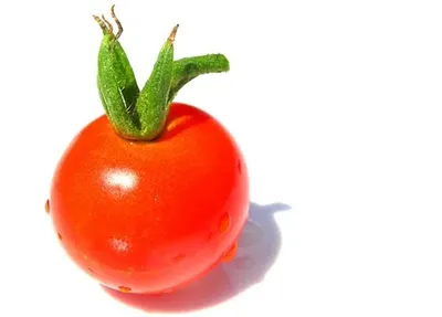 Tomato