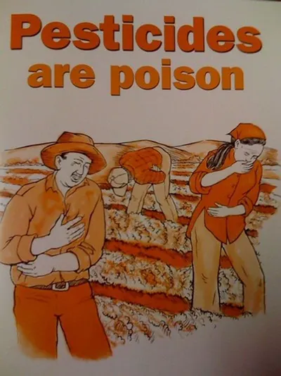 Pototos